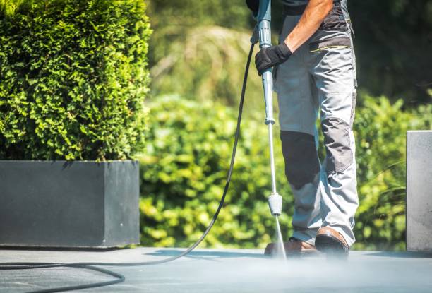 Best Patio and Deck Pressure Washing  in Three Oaks, FL