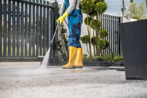 Best Solar Panel Cleaning  in Three Oaks, FL