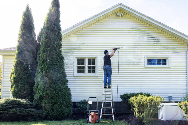 Best House Exterior Washing  in Three Oaks, FL